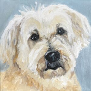 8 x 8 Custom Pet Portrait