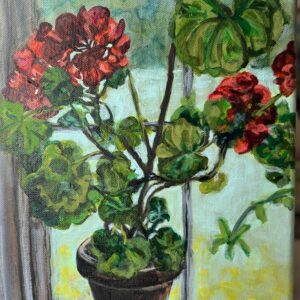 Day 4 Geraniums